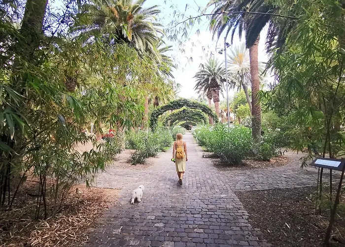 Home2book Elegant Cruz Center